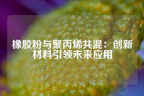 橡胶粉与聚丙烯共混：创新材料引领未来应用