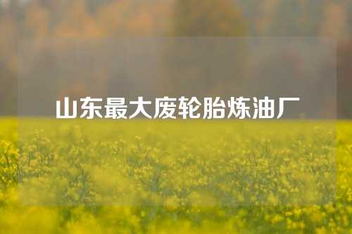 山东最大废轮胎炼油厂