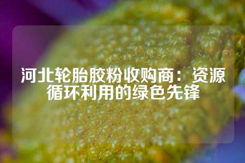 河北轮胎胶粉收购商：资源循环利用的绿色先锋