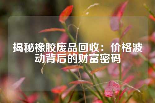 揭秘橡胶废品回收：价格波动背后的财富密码