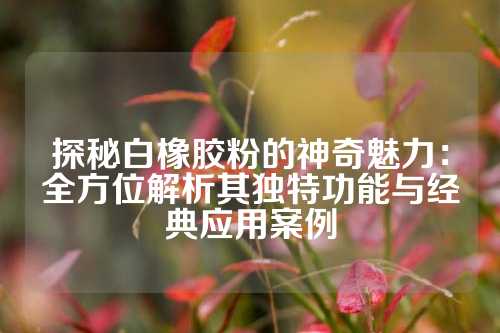 探秘白橡胶粉的神奇魅力：全方位解析其独特功能与经典应用案例