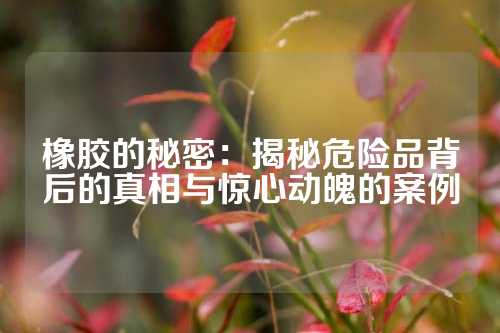 橡胶的秘密：揭秘危险品背后的真相与惊心动魄的案例