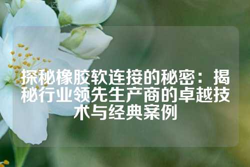 探秘橡胶软连接的秘密：揭秘行业领先生产商的卓越技术与经典案例