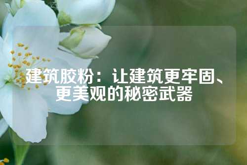 建筑胶粉：让建筑更牢固、更美观的秘密武器