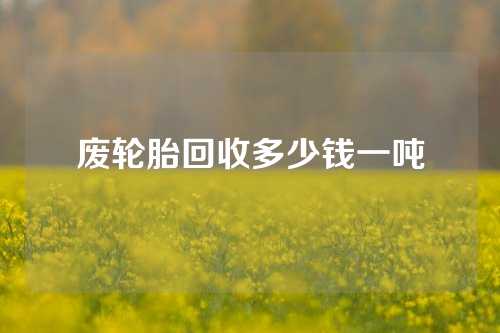 废轮胎回收多少钱一吨