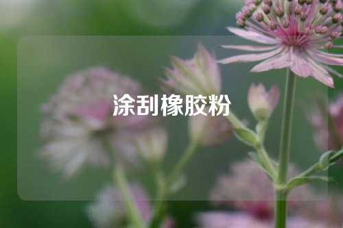 涂刮橡胶粉