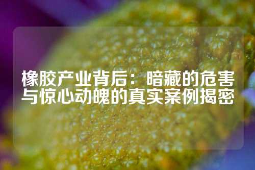橡胶产业背后：暗藏的危害与惊心动魄的真实案例揭密