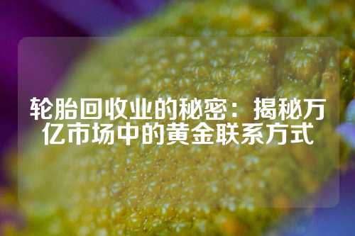 轮胎回收业的秘密：揭秘万亿市场中的黄金联系方式