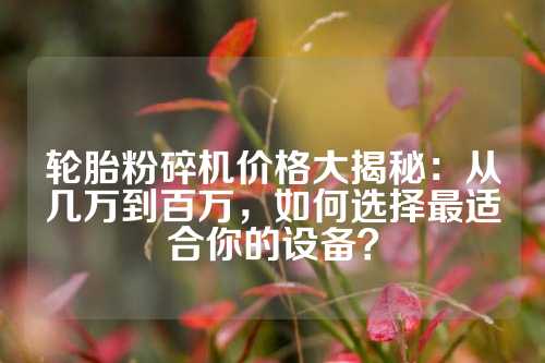 轮胎粉碎机价格大揭秘：从几万到百万，如何选择最适合你的设备？
