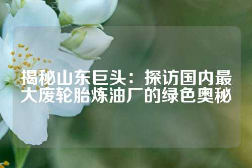 揭秘山东巨头：探访国内最大废轮胎炼油厂的绿色奥秘