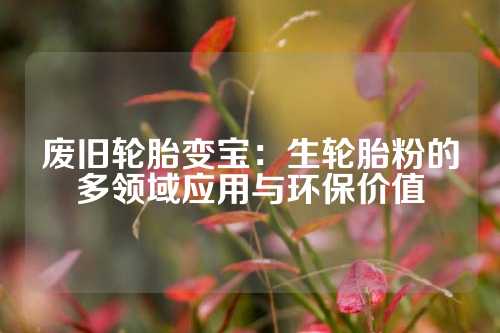 废旧轮胎变宝：生轮胎粉的多领域应用与环保价值