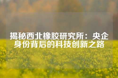 揭秘西北橡胶研究所：央企身份背后的科技创新之路