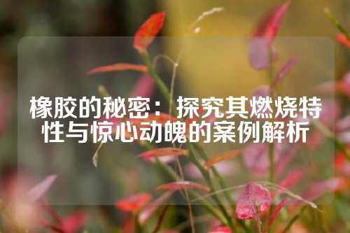 橡胶的秘密：探究其燃烧特性与惊心动魄的案例解析