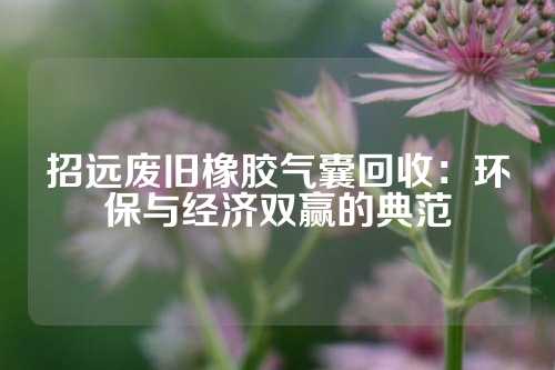 招远废旧橡胶气囊回收：环保与经济双赢的典范