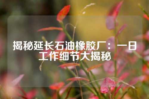 揭秘延长石油橡胶厂：一日工作细节大揭秘