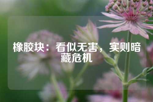 橡胶块：看似无害，实则暗藏危机