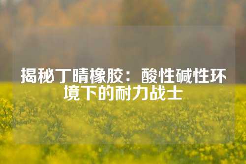 揭秘丁晴橡胶：酸性碱性环境下的耐力战士