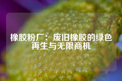 橡胶粉厂：废旧橡胶的绿色再生与无限商机