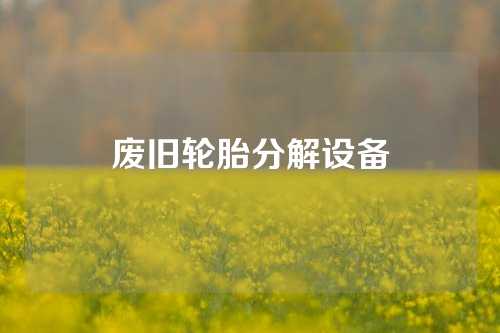 废旧轮胎分解设备
