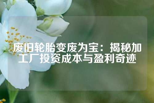 废旧轮胎变废为宝：揭秘加工厂投资成本与盈利奇迹