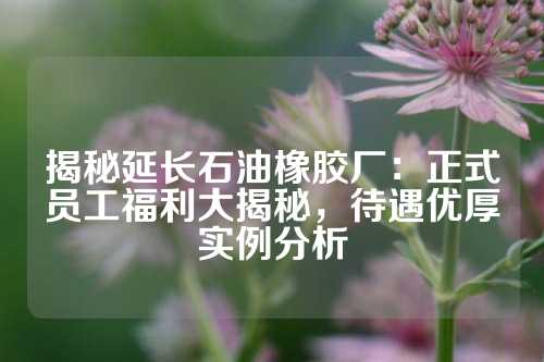 揭秘延长石油橡胶厂：正式员工福利大揭秘，待遇优厚实例分析