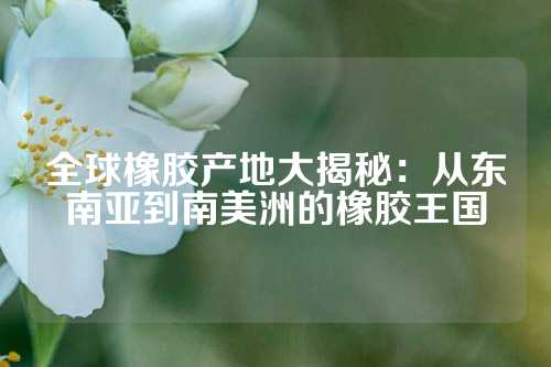 全球橡胶产地大揭秘：从东南亚到南美洲的橡胶王国