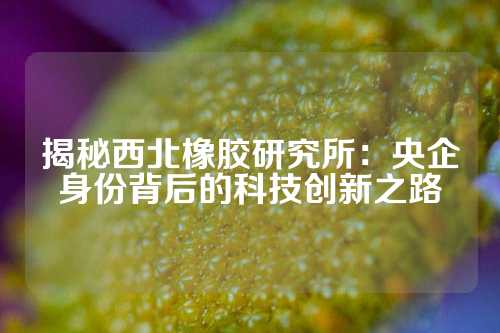 揭秘西北橡胶研究所：央企身份背后的科技创新之路